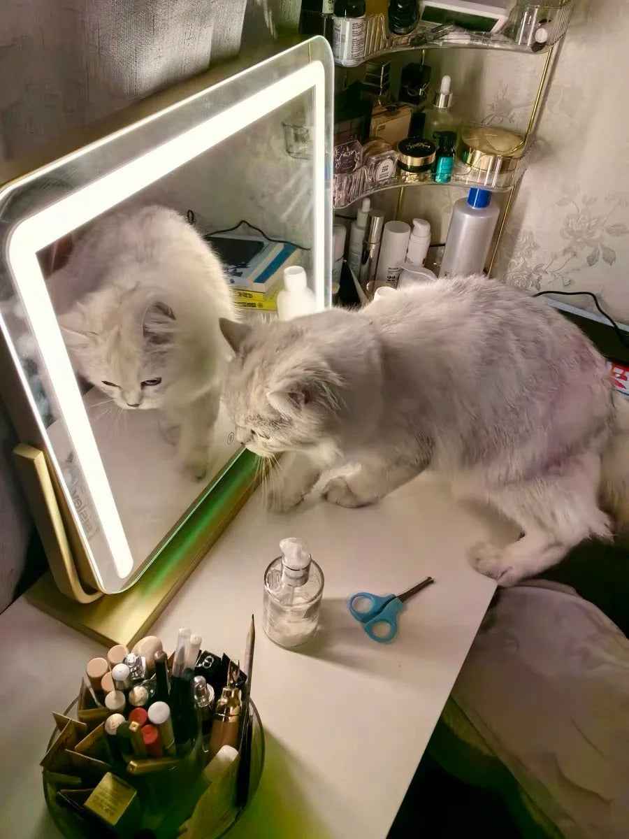 Large Vanity Makeup Mirror with Light – Detachable 15X Magnifier, 3 Color Modes, Touch Control & 360° Rotation