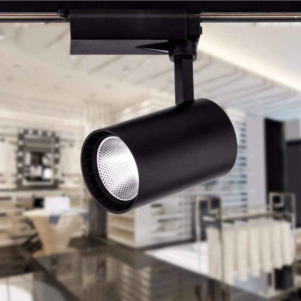 Projecteur 30w LED orientable sur rail monophasé