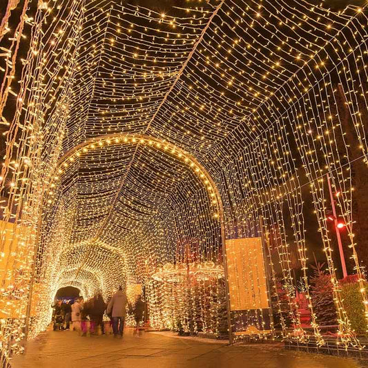 50M chaine guirlandes lumineuses extérieurs étanches IP44